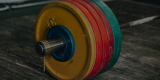 Best Bumper Plates